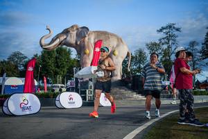 BIB: 
                            <button type="button" onclick="openModal(26541857)" class="btn btn-primary btn-sm float-right btn-popup" data-toggle="modal" data-target=".modal-high-quality">
                        <i class="fas fa-shopping-cart"></i> Add to Cart
                    </button>
                                            <button type="button" onclick="isThisMe(26541857, true)" class="btn btn-success btn-sm float-right btn-popup btn-isme hidden" data-toggle="tooltip" data-placement="bottom" title="นี่คือรูปของคุณใช่ไหม คลิกที่นี่เพื่อเอาเข้าอัลบั้ม">
                        <i class="fas fa-plus"></i> Add to album
                    </button>
                    <button type="button" onclick="isThisMe(26541857, false)" class="btn btn-warning btn-sm float-right btn-popup btn-isnotme hidden">
                        <i class="fas fa-ban"></i> Remove from album
                    </button>